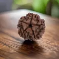 RUDRAKSHA NEPAL